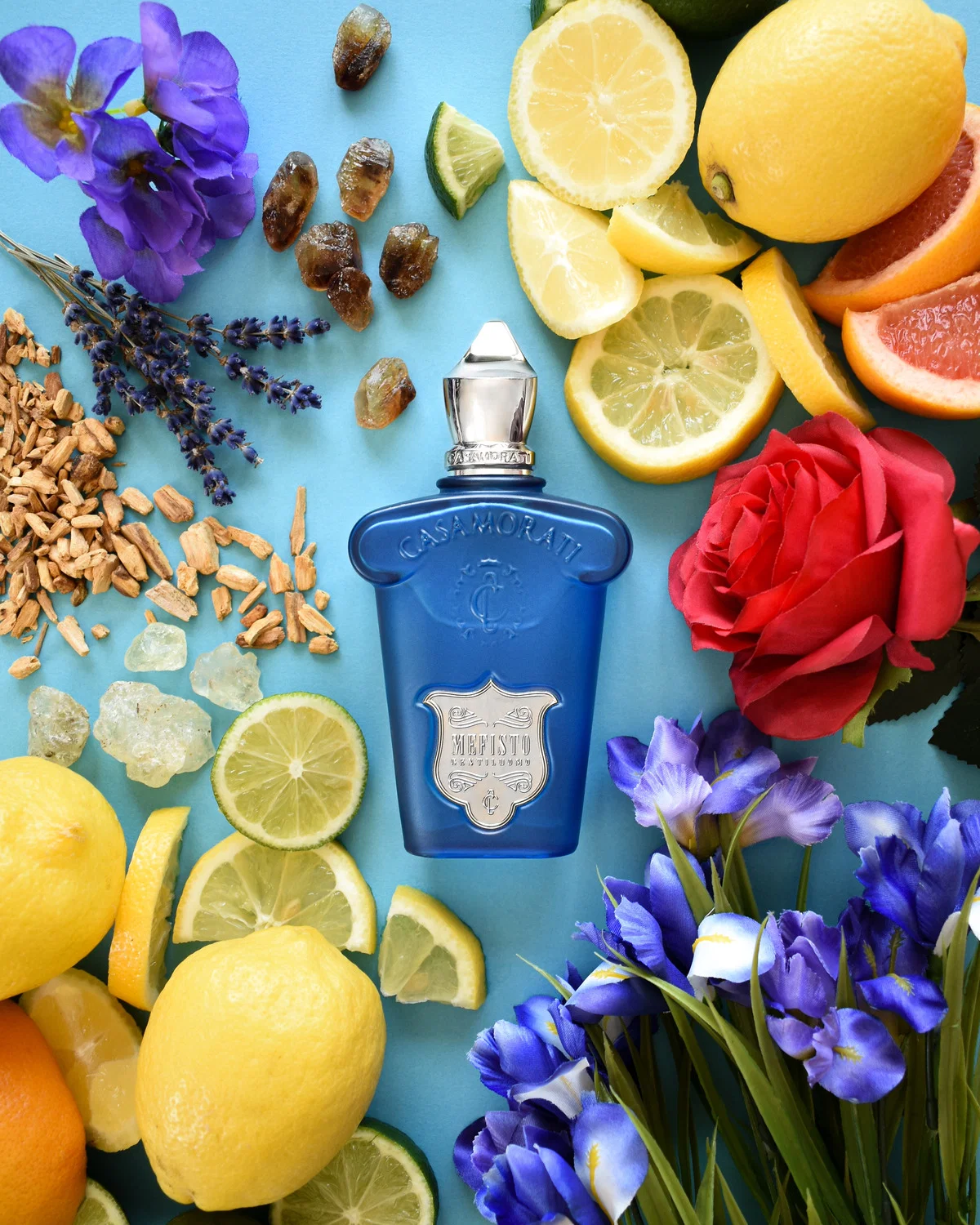 Casamorati Mefisto Gentiluomo