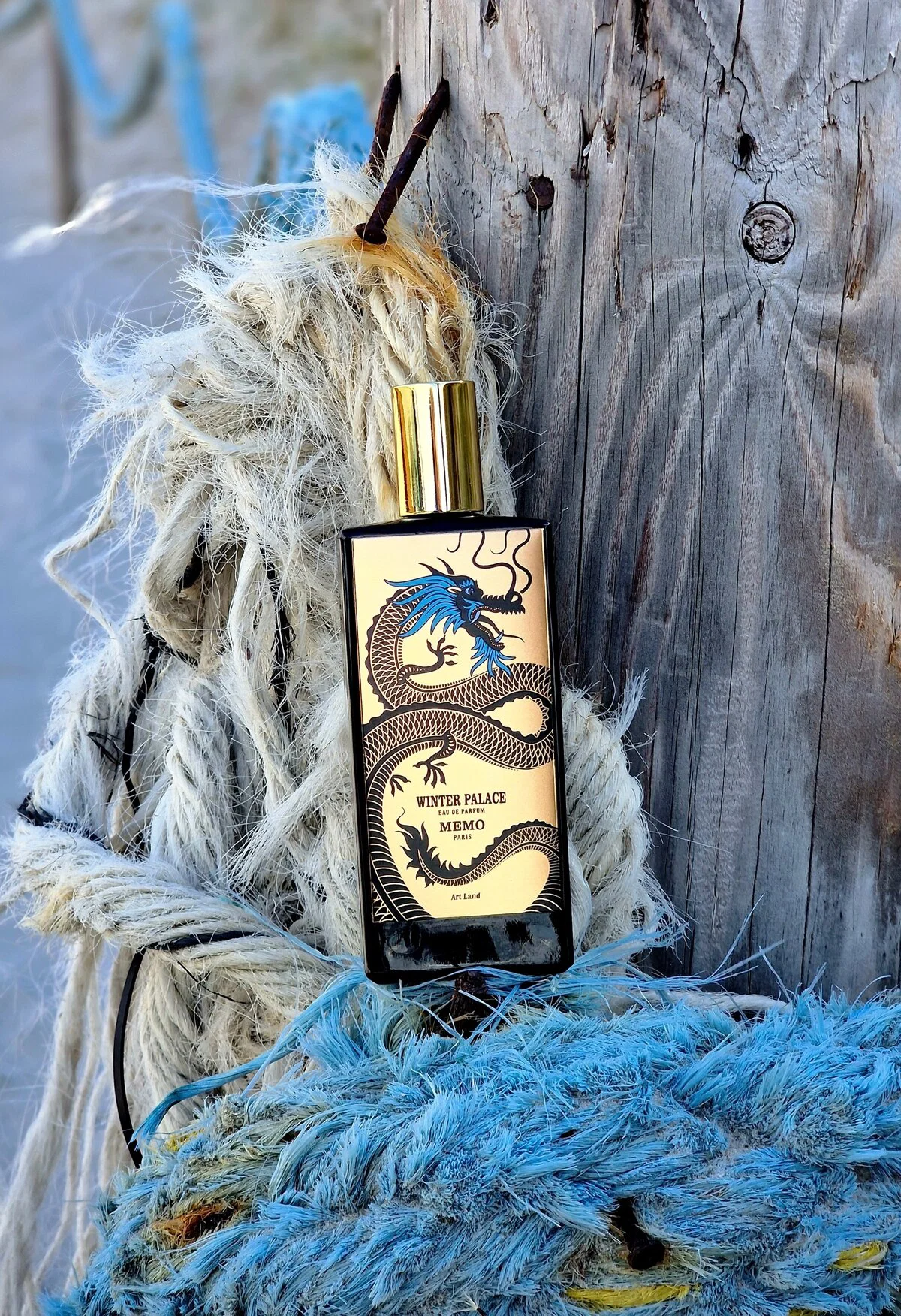 Memo Paris Winter Palace